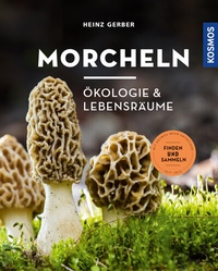 Abbildung von: Morcheln - Kosmos