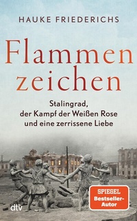 Abbildung von: Flammenzeichen - dtv