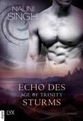 Cover: Age of Trinity - Echo des Sturms - LYX