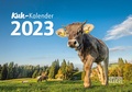 Cover: Kuh-Kalender 2023 - Hephaistos