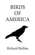 Cover: Birds of America - Richard Rollins