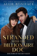 Cover: Stranded with the Billionaire Doc (Doctors of Silver Valley) - DFM Publishing