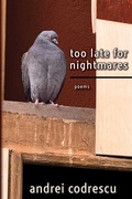 Cover: Too Late for Nightmares - Black Widow Press
