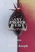 Cover: Any Proper Weave - Kelsay Books