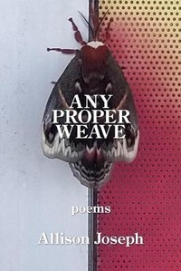 Enlarge image Cover: Any Proper Weave - Kelsay Books