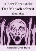 Cover: Der Mensch schreit (Grossdruck) - Henricus - Edition Deutsche Klassik GmbH, Berlin