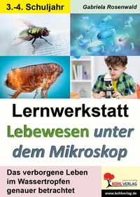 Abbildung von: Lernwerkstatt Lebewesen unter dem Mikroskop / Klasse 3-4 - KOHL VERLAG Der Verlag mit dem Baum