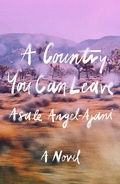Cover: A Country You Can Leave - MCD