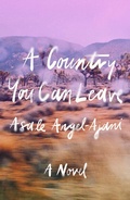 Cover: A Country You Can Leave - MCD