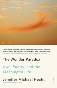 Abbildung von: The Wonder Paradox - Farrar, Straus and Giroux