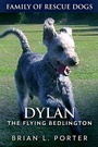 Cover: Dylan - Next Chapter