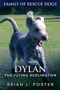Cover: Dylan - Next Chapter