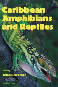 Abbildung von: Caribbean Amphibians and Reptiles - Academic Press
