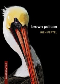Abbildung von: Brown Pelican - Louisiana State University Press