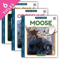 Enlarge image Cover: Twilight Animals (Set) - Cody Koala