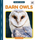 Cover: Barn Owls - Cody Koala