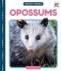 Cover: Opossums - Cody Koala
