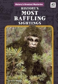 Enlarge image Cover: History's Most Baffling Sightings - Discoverroo