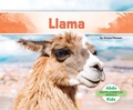 Cover: Llama - Abdo Kids Jumbo
