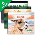 Cover: South American Animals (Set) - Abdo Kids Jumbo