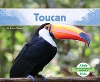 Enlarge image Cover: Toucan - Abdo Kids Jumbo
