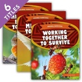 Cover: Animal Survival (Set) - Kids Core