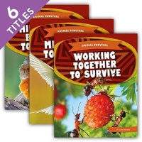 Enlarge image Cover: Animal Survival (Set) - Kids Core