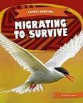 Cover: Migrating to Survive - Kids Core