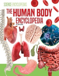 Enlarge image Cover: Human Body Encyclopedia - Encyclopedias