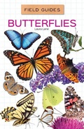 Cover: Butterflies - Field Guides