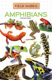 Enlarge image Cover: Amphibians - Field Guides