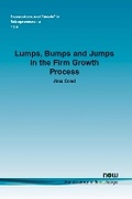 Cover: Lumps, Bumps and Jumps in the Firm Growth Process - now publishers Inc
