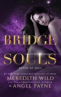 Cover: Bridge of Souls - Brilliance Audio