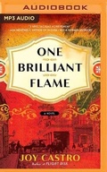 Cover: One Brilliant Flame - Brilliance Audio
