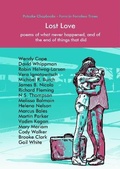Cover: Lost Love - Sampson Low Ltd