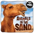 Cover: Animals in the Sand - Enslow Publishing