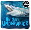 Cover: Animals Underwater - Enslow Publishing