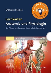 Abbildung von: Lernkarten Anatomie und Physiologie - Urban & Fischer