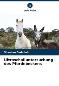 Abbildung von: Ultraschalluntersuchung des Pferdebeckens - Verlag Unser Wissen