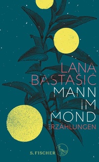 Abbildung von: Mann im Mond - S. Fischer