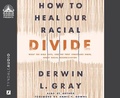Cover: How to Heal Our Racial Divide - Oasis Audio