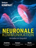 Bild: Spektrum Kompakt - Neuronale Kommunikation - Spektrum der Wissenschaft