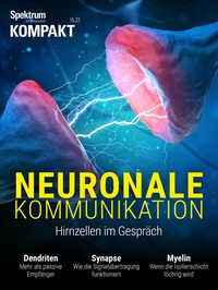 Bild: Spektrum Kompakt - Neuronale Kommunikation - Spektrum der Wissenschaft