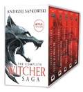 Cover: The Witcher Boxed Set: Blood of Elves, the Time of Contempt, Baptism of Fire, the Tower of Swallows, the Lady of the Lake - Orbit