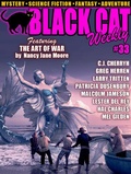 Cover: Black Cat Weekly #33 - Wildside Press