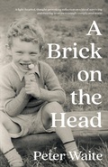 Cover: A Brick on the Head - Matador