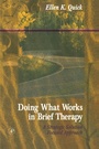 Cover: Doing What Works in Brief Therapy - Academic Press