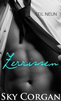 Cover: Zerrissen: Teil Neun (Zerrissen Serie) - Zerrissen Serie