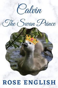 Enlarge image Cover: Calvin The Swan Prince - Gillari Books