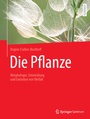 Cover: Die Pflanze - Springer Spektrum